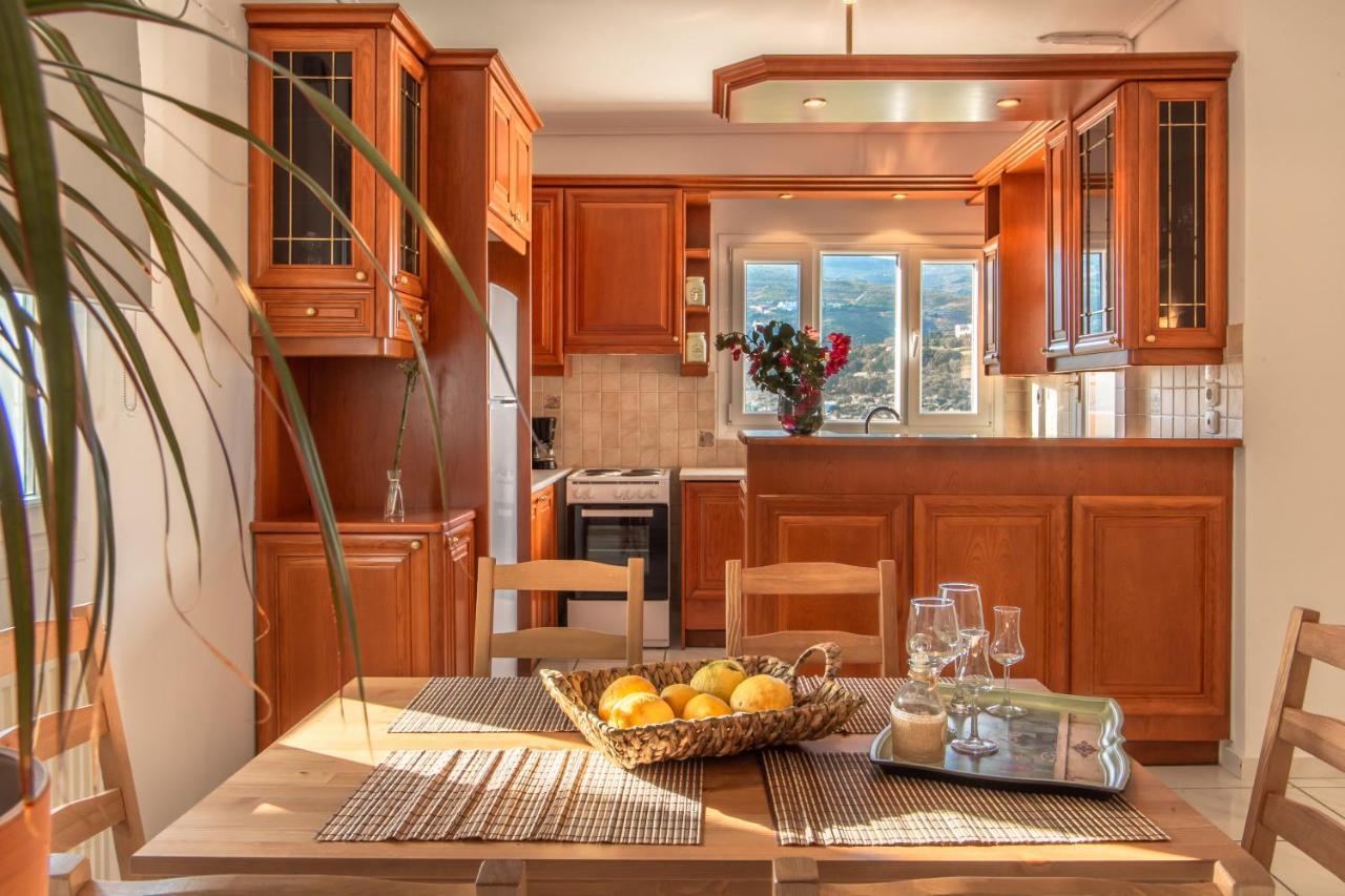 Апартаменты Eleni'S Seaview House Андрос Экстерьер фото